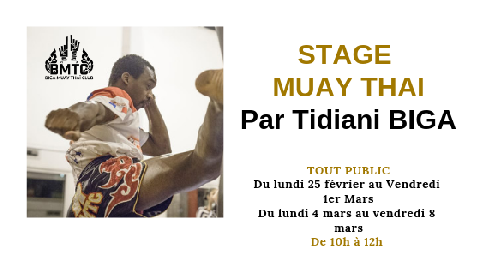 STAGE DE MUAY THAI FÉVRIER MARS 2019