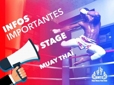 STAGE TECHNIQUE DE MUAY THAI AUX VACANCES D’AVRIL AVEC BIGA TIDIANI.
